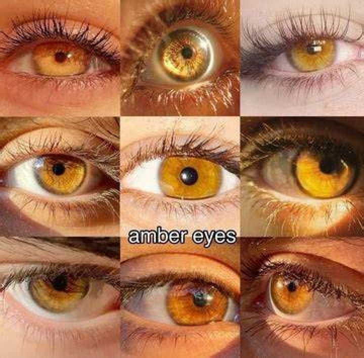 Are amber colored eyes rare?