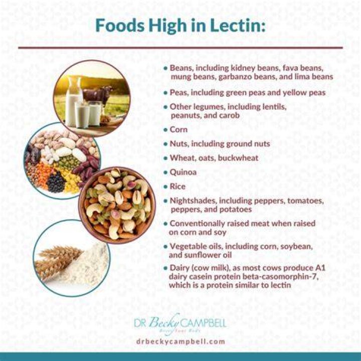 Are bananas high in lectin?