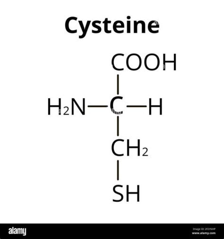 Are cysteine amino acids?