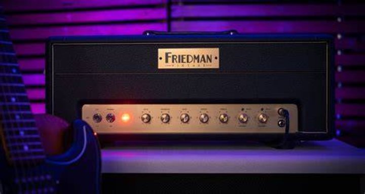Are friedman amps worth it?