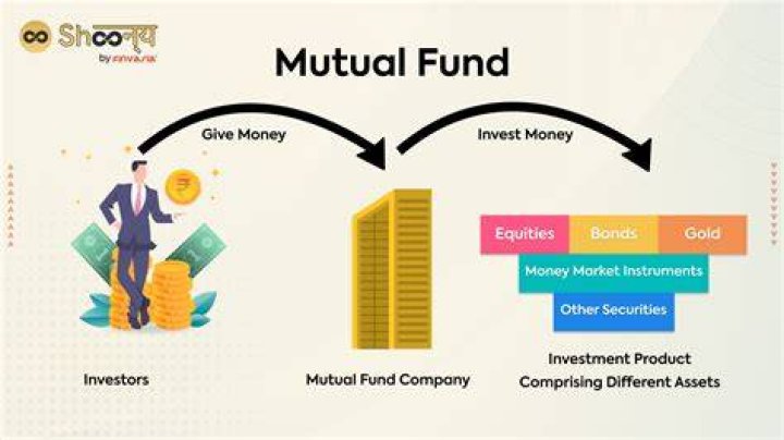 Are in mutual fund?