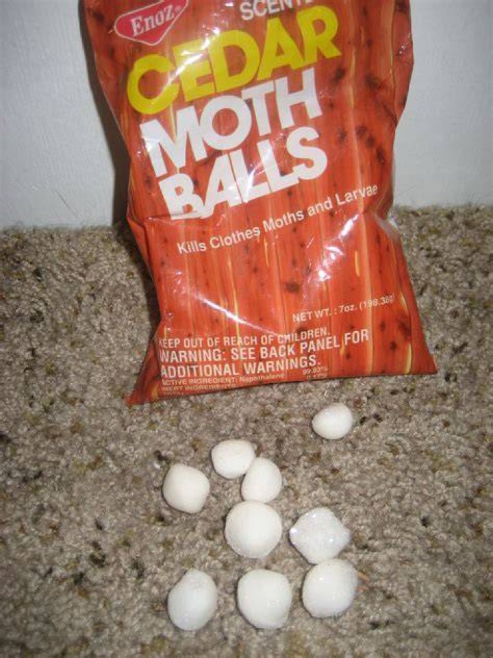 Are moth balls toxic to dogs?