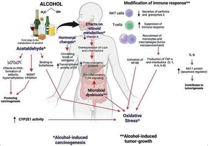 Can alcohol kill dermatophytes?
