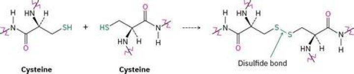 Can cysteine be deprotonated?