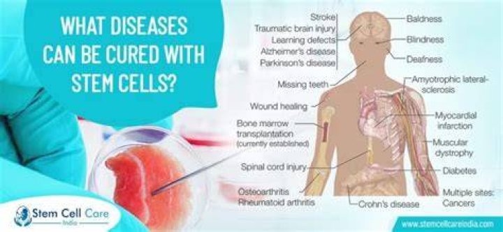 Can diseases be cured?