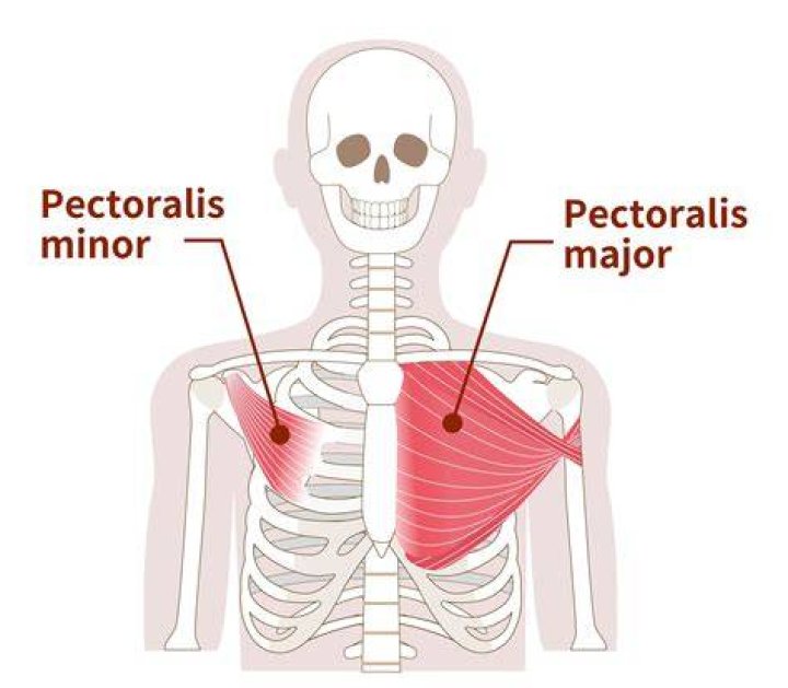 Can pectoral muscle cause numbness?
