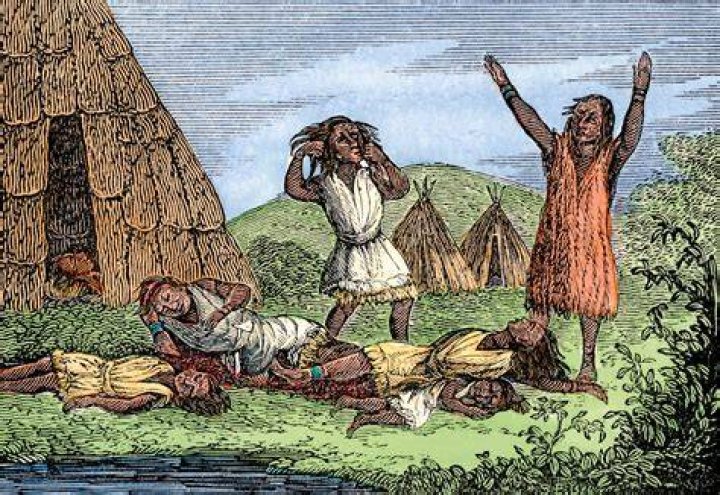 Did diseases kill natives?