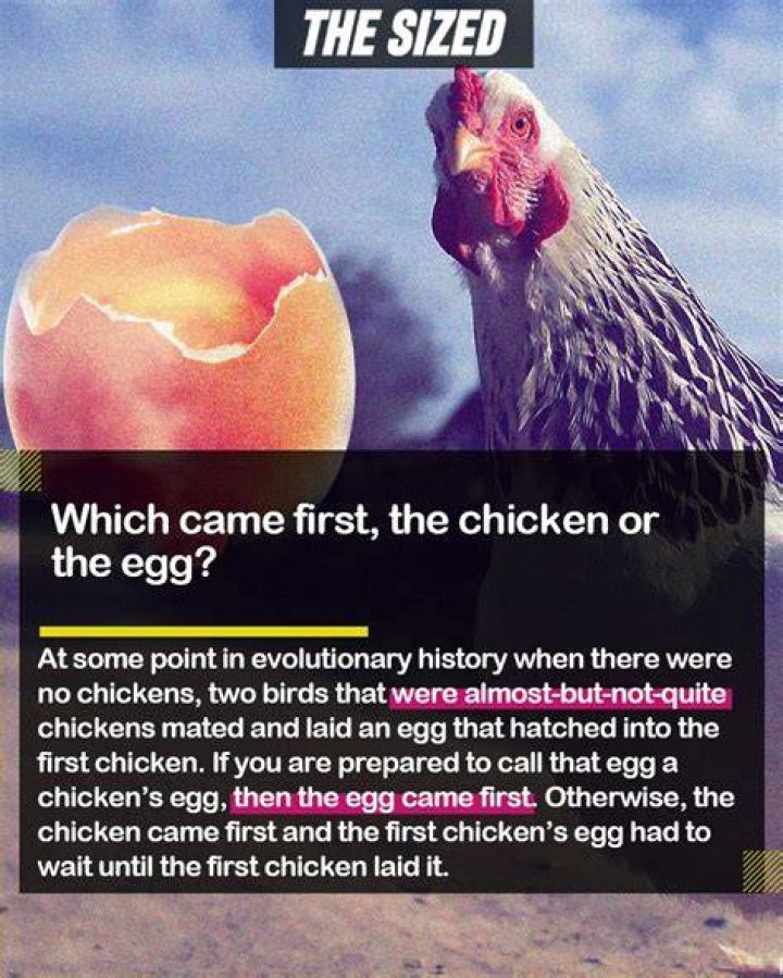 Did hen or egg came first?
