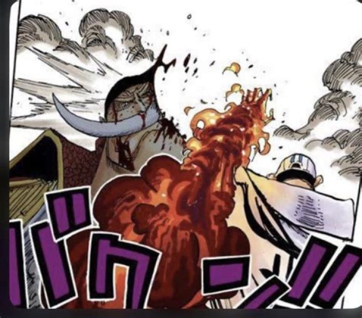 Did whitebeard kill akainu?