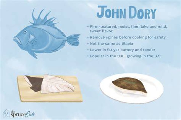 Do dory fish eat?