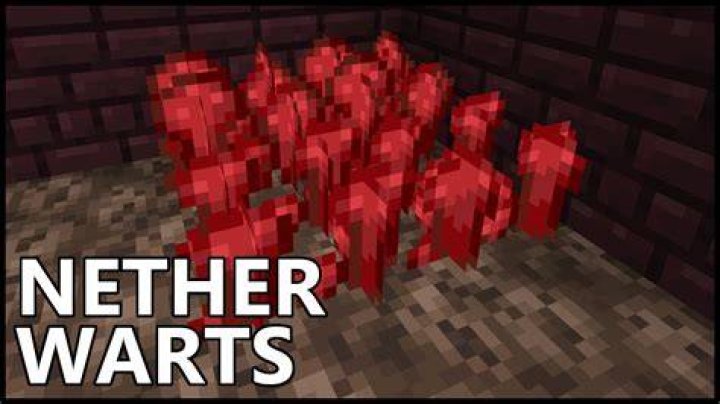 Do nether warts need light?