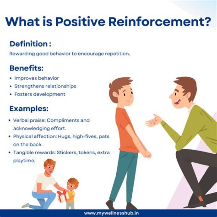 Does a positive reinforcer have to be a reward?