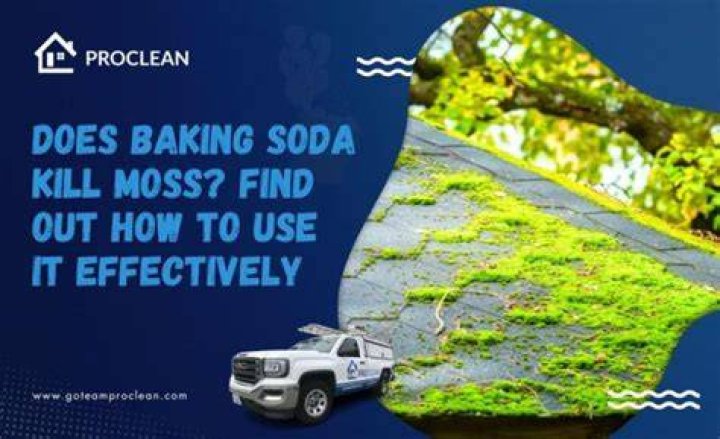 Does baking soda kill moss on roofs?