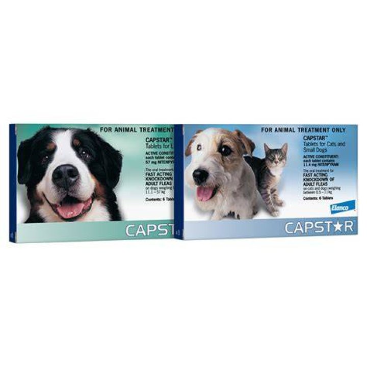 Does capstar kill ticks?