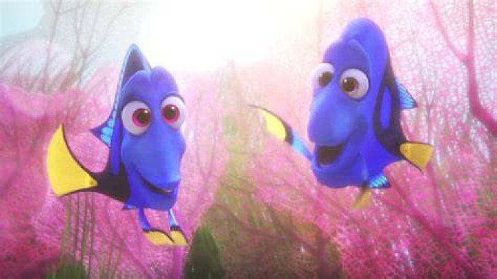 Does dory find her parents?
