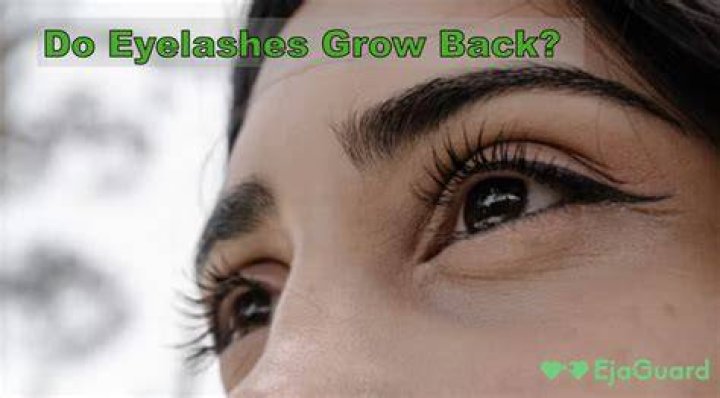 Does eyelids grow back?