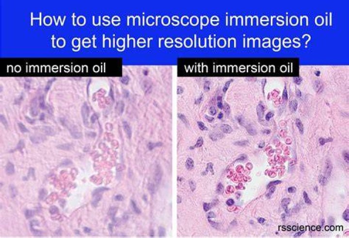 Does immersion oil increase magnification?