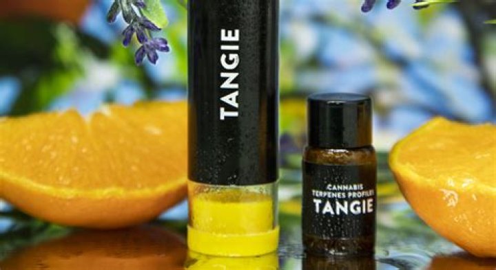 Does tangie make you hungry?