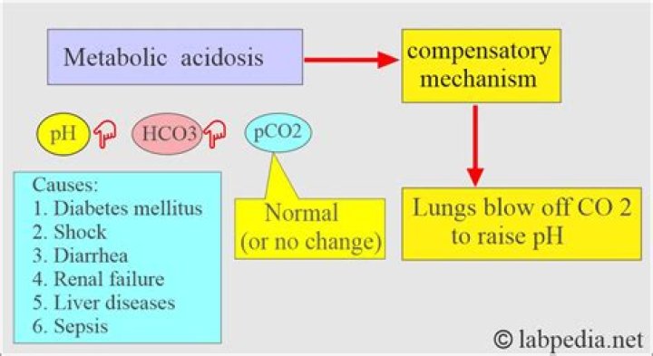 Does tpn cause metabolic acidosis?