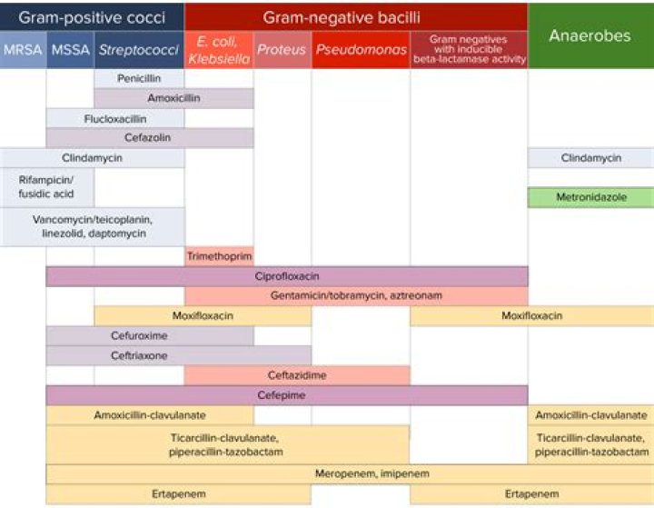 Does vancomycin cover anaerobes?
