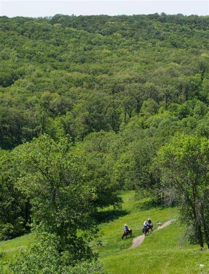 For ransom state park?