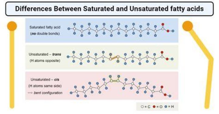 Has unsaturated fatty acid?