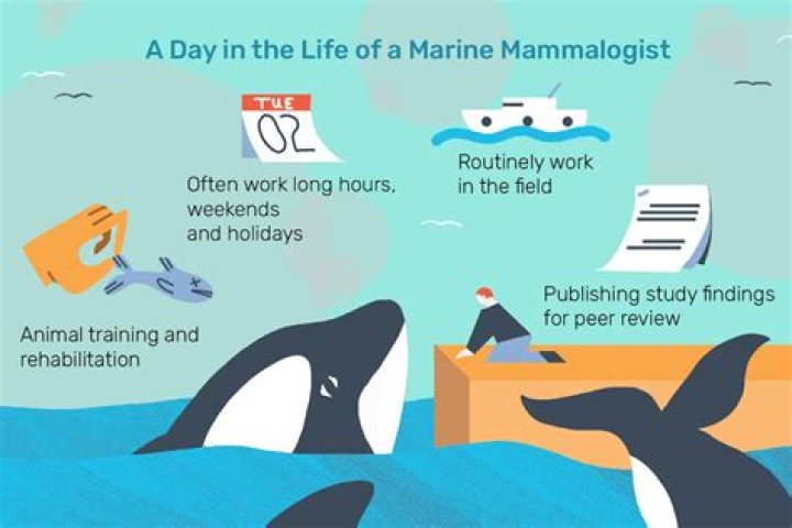 How much do marine mammalogists make?