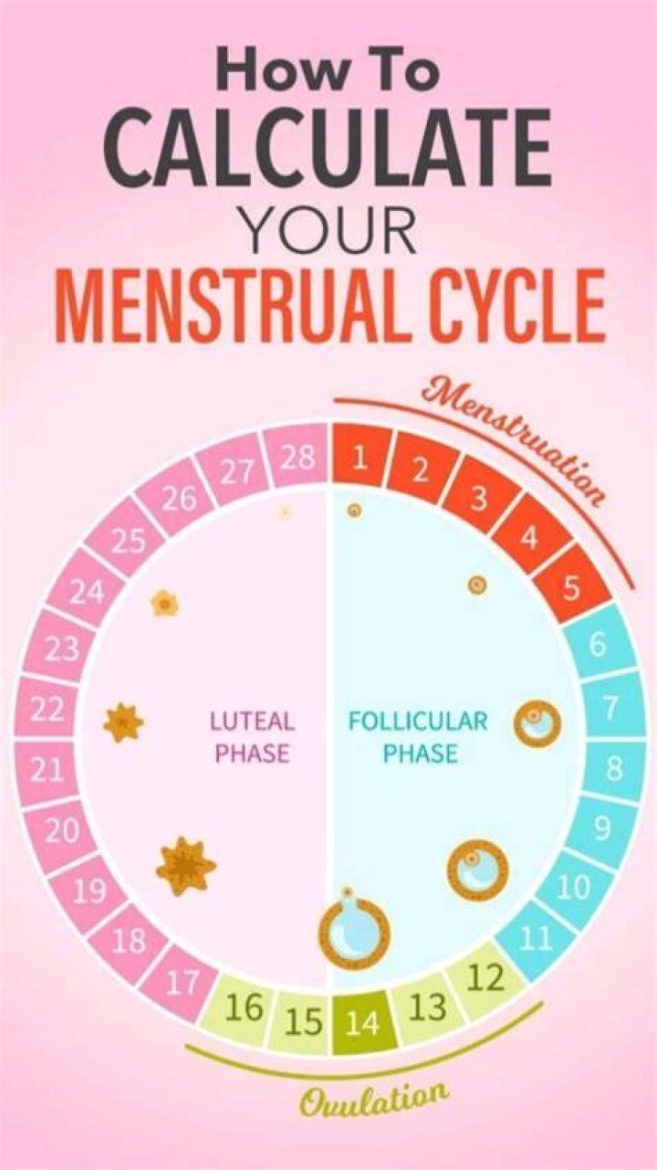 How to calculate your menstrual cycle?