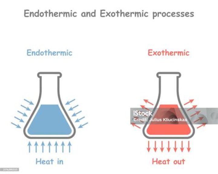 In an exothermic process the surrounding loses heat?