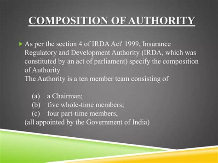 In which year irda was constituted?