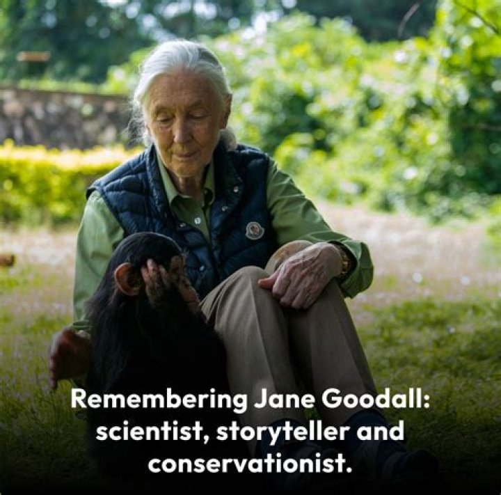 Is a conservationist a scientist?
