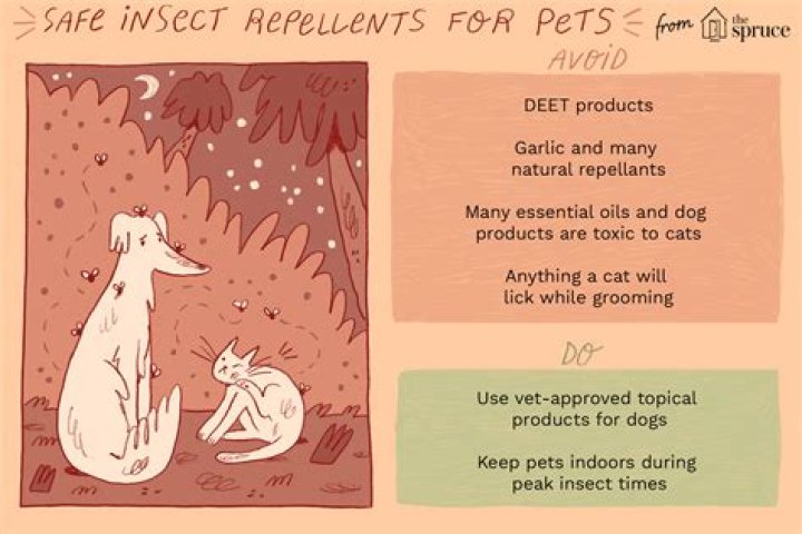 Is limonene safe for dogs?