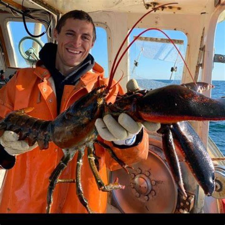 Is lobster season uk?