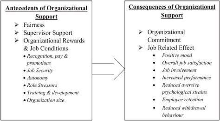 Is perceived organisational support?