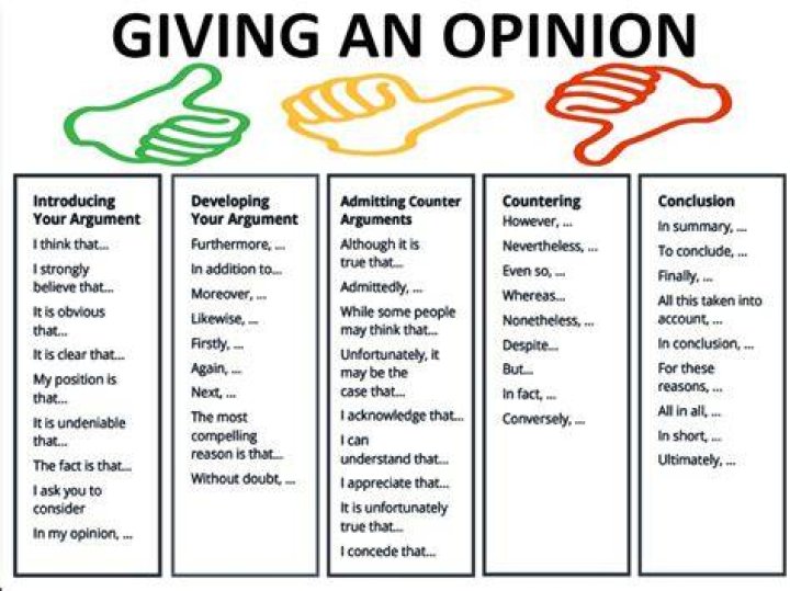 Is self-opinion a word?