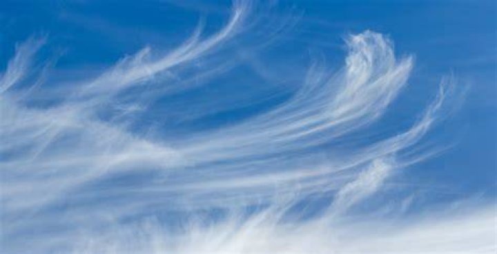 Was does wispy mean?