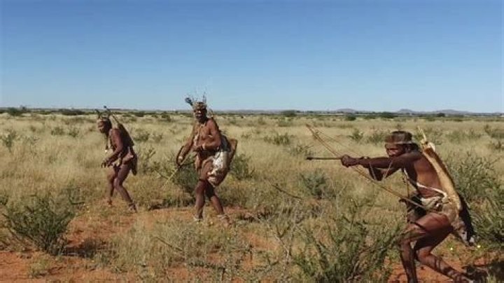 Were the khoisan hunted?