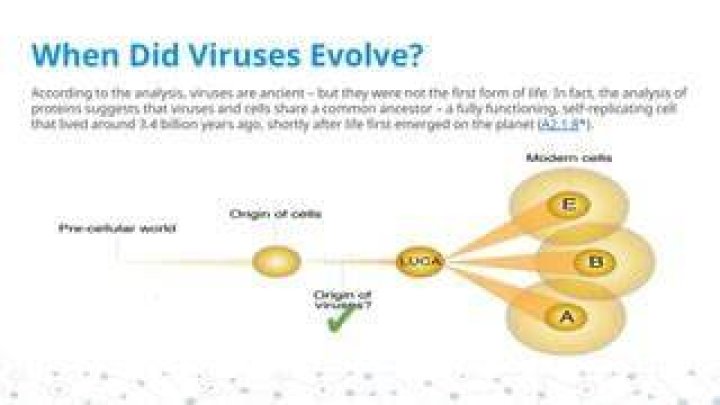 Were viruses the first form of life?