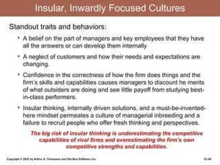 What defines an insular inwardly focused culture?