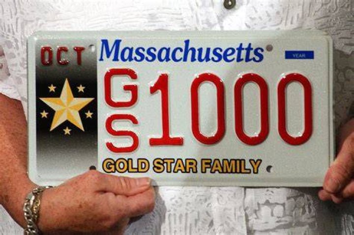What does plate mark mean?