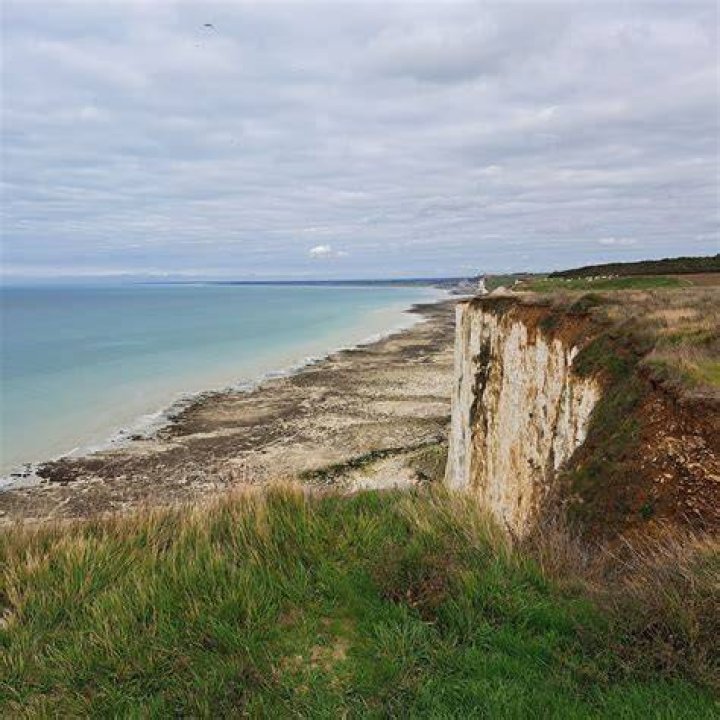 What is a littoral?