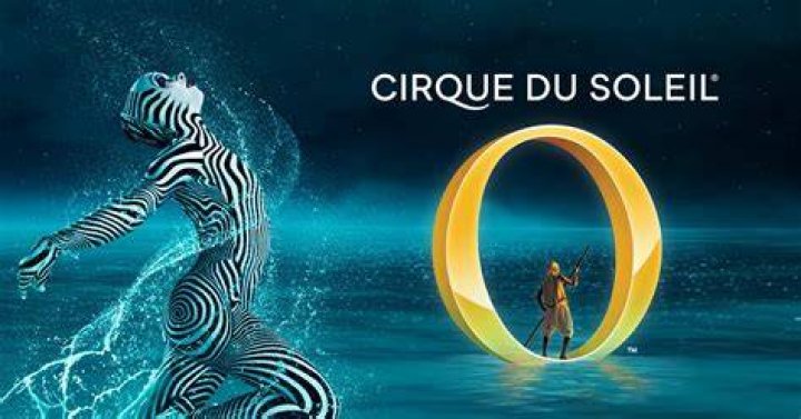 What is cirque du soleil o about?