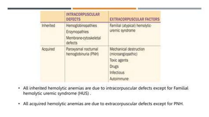 What is mean extracorpuscular?