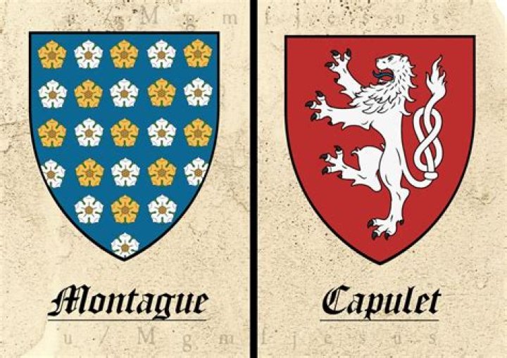 What is montague and capulet?