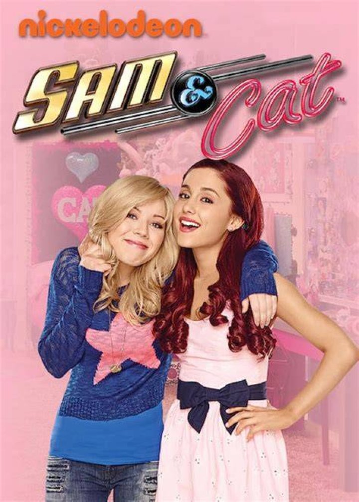 What is sam and cat about?