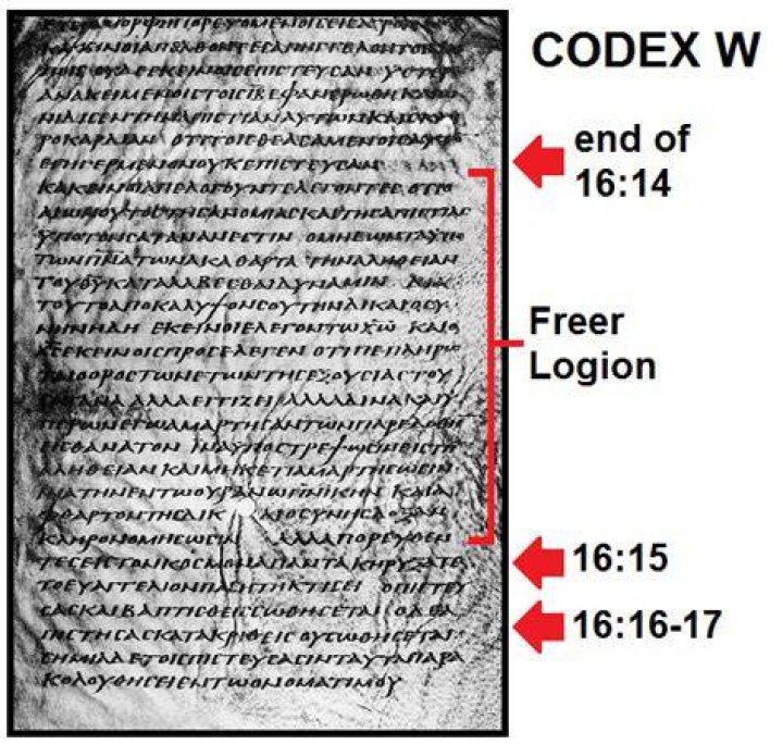 What is the freer logion?