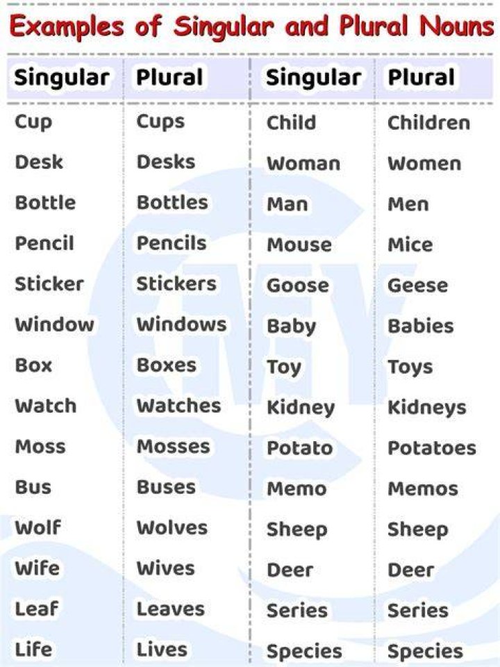 What is the plural of cathetus?