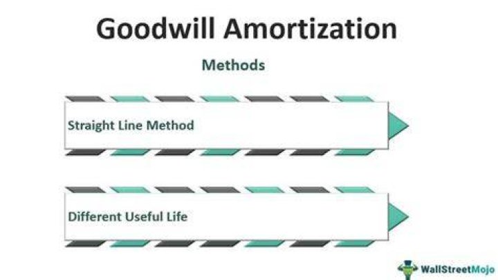 What's amortization of goodwill?