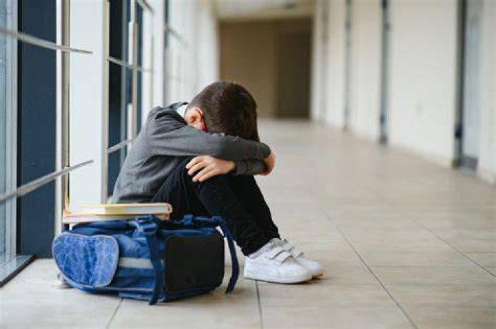 Whats a school refuser?