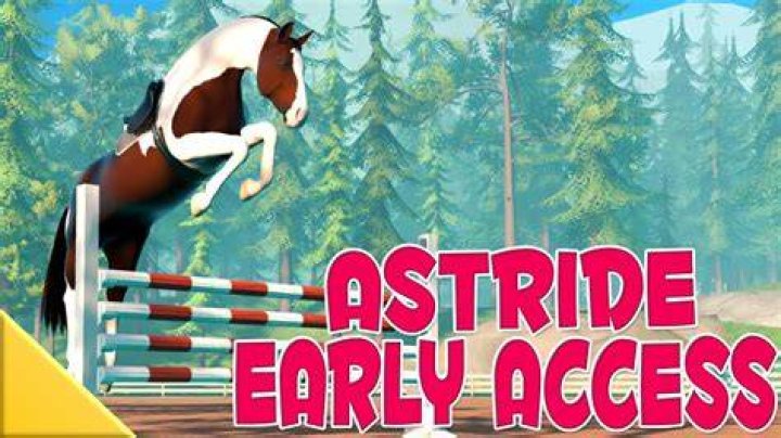 Whats the definition of astride?